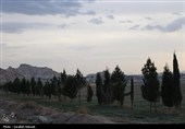 آغاز پویش بزرگ نهال‌کاری در کرمان به یاد رهبر شهید انقلاب