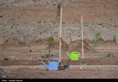 آغاز پویش بزرگ نهال‌کاری در کرمان به یاد رهبر شهید انقلاب