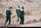 آغاز پویش بزرگ نهال‌کاری در کرمان به یاد رهبر شهید انقلاب