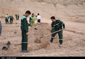 آغاز پویش بزرگ نهال‌کاری در کرمان به یاد رهبر شهید انقلاب