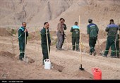 آغاز پویش بزرگ نهال‌کاری در کرمان به یاد رهبر شهید انقلاب