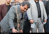 آغاز پویش بزرگ نهال‌کاری در کرمان به یاد رهبر شهید انقلاب