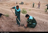 آغاز پویش بزرگ نهال‌کاری در کرمان به یاد رهبر شهید انقلاب
