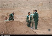 آغاز پویش بزرگ نهال‌کاری در کرمان به یاد رهبر شهید انقلاب