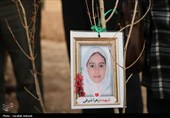 آغاز پویش بزرگ نهال‌کاری در کرمان به یاد رهبر شهید انقلاب