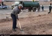 آغاز پویش بزرگ نهال‌کاری در کرمان به یاد رهبر شهید انقلاب