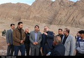 آغاز پویش بزرگ نهال‌کاری در کرمان به یاد رهبر شهید انقلاب