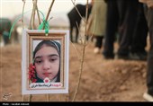 آغاز پویش بزرگ نهال‌کاری در کرمان به یاد رهبر شهید انقلاب