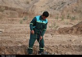 آغاز پویش بزرگ نهال‌کاری در کرمان به یاد رهبر شهید انقلاب