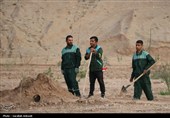 آغاز پویش بزرگ نهال‌کاری در کرمان به یاد رهبر شهید انقلاب