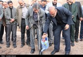 آغاز پویش بزرگ نهال‌کاری در کرمان به یاد رهبر شهید انقلاب