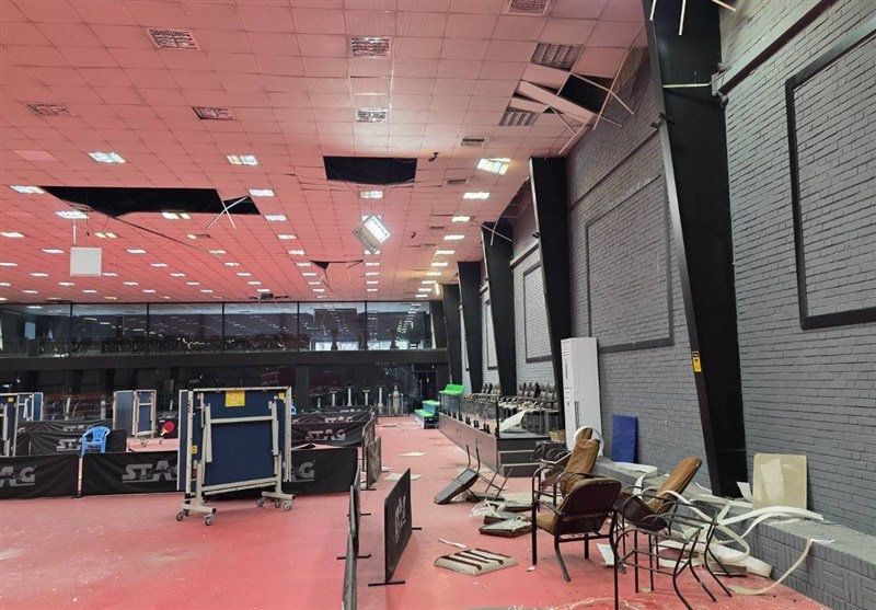 تنیس روی میز , 