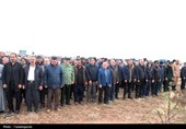 پیکر شهیدان کاکاوندنگهداری و نامداری‌کاکاوند