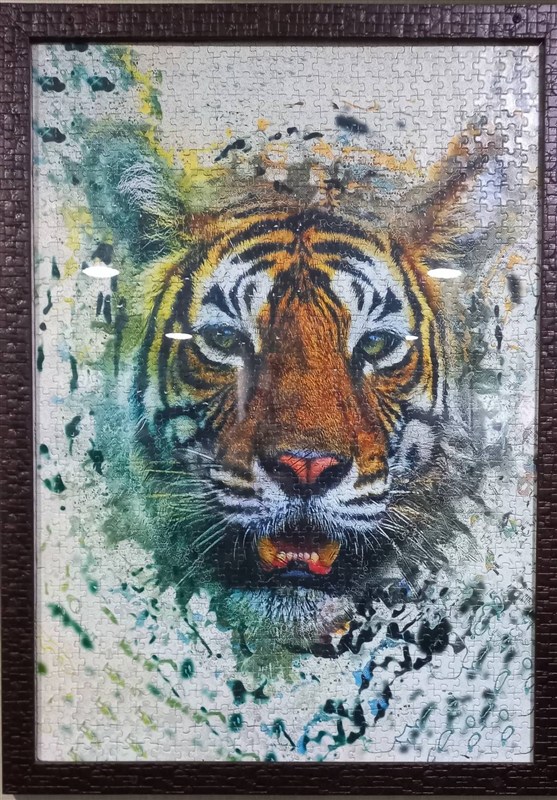 ناوشکن دنا , کتاب , علیاصغر عزتی پاک ,