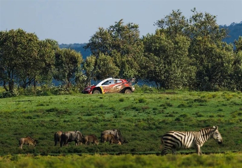 اتومبیل رانی , 