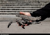 خسارت به کاخ سعدآباد در حمله هوایی رژیم آمریکایی - صهیونی