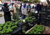 حال و هوای بازار  قزوین در آستانه سال جدید