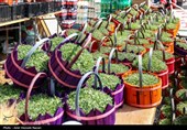 حال و هوای بازار  قزوین در آستانه سال جدید