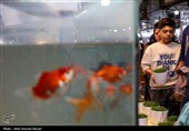 حال و هوای بازار  قزوین در آستانه سال جدید