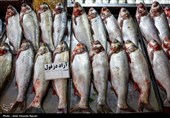 حال و هوای بازار  قزوین در آستانه سال جدید