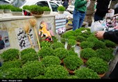 حال و هوای بازار بجنورد در آستانه سال جدید