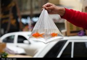 حال و هوای بازار بجنورد در آستانه سال جدید