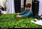 حال و هوای بازار بجنورد در آستانه سال جدید