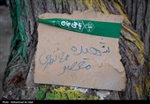 لحظه تحویل سال در کنار قبور شهدای مدرسه شجره طیبه میناب