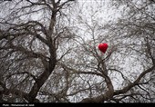 لحظه تحویل سال در کنار قبور شهدای مدرسه شجره طیبه میناب