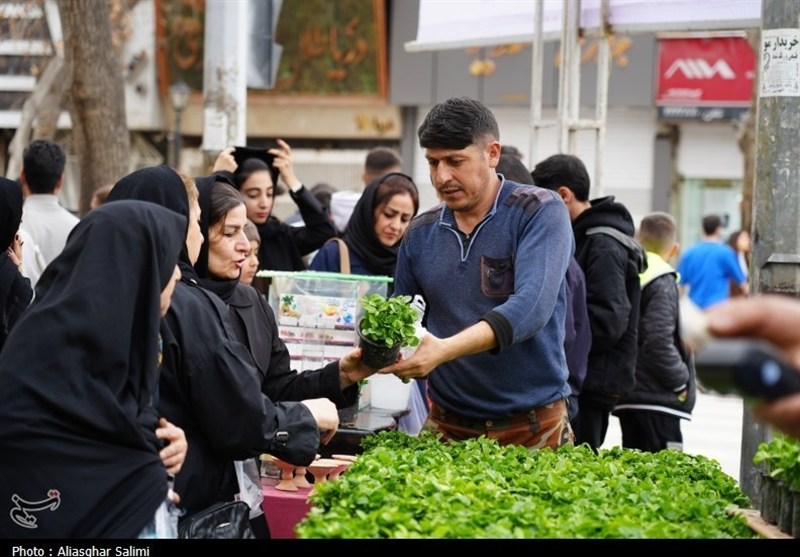 کاشان , اخبار کاشان , علی محمد نائینی , 