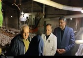 تأکید وزیر جهاد کشاورزی بر رفع موانع تولید در بازدید از مرغداری فشافویه