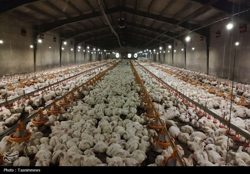 اخبار شهر ری , 