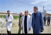 تأکید وزیر جهاد کشاورزی بر رفع موانع تولید در بازدید از مرغداری فشافویه