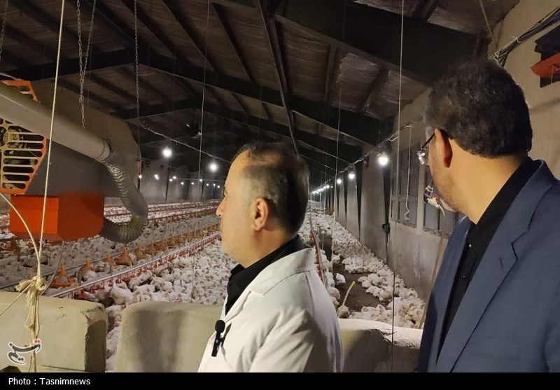 اخبار شهر ری , 