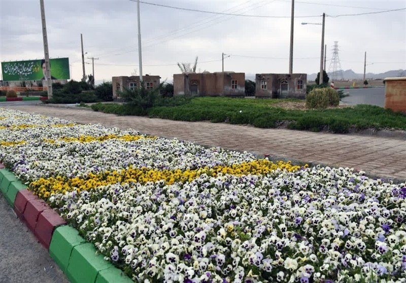 اخبار استان خراسان جنوبی , اخبار بیرجند , شهادت , 