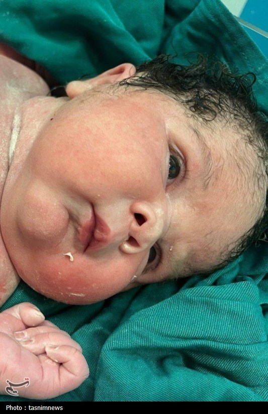 اخبار سنندج , اخبار استان کردستان , 