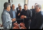 بازدید استاندار خراسان جنوبی از بازارچه نوروزی شهرداری‌ بیرجند