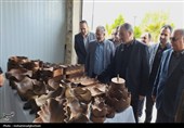 بازدید استاندار خراسان جنوبی از بازارچه نوروزی شهرداری‌ بیرجند