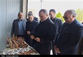 بازدید استاندار خراسان جنوبی از بازارچه نوروزی شهرداری‌ بیرجند