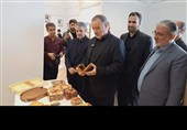 بازدید استاندار خراسان جنوبی از بازارچه نوروزی شهرداری‌ بیرجند