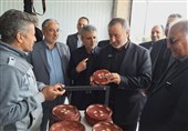 برپایی 250 غرفه صنایع‌دستی برای رونق اقتصاد بومی خراسان جنوبی