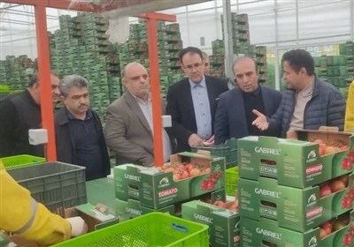 تجهیز 80 درصد واحدهای بزرگ تولیدی اردبیل به سوخت دوم