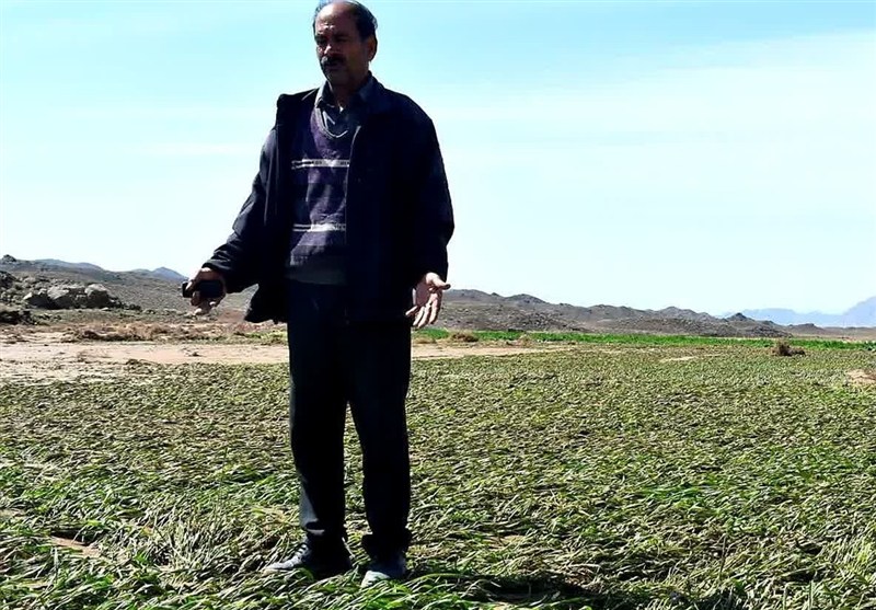 خراسان رضوی , سیل , سیل زده , کشاورزی , مشهد مقدس , اخبار مشهد , اخبار استان خراسان رضوی , 