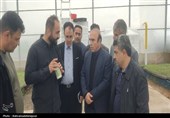 معاون استاندار اردبیل از پروژه‌های اقتصادی پارس‌آباد بازدید کرد