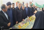 برپایی43 نمایشگاه صنایع دستی و محصولات محلی در خراسان جنوبی+ عکس