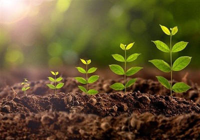 ایجاد 60 هکتار فضای سبز در شهرک‌های صنعتی خراسان شمالی