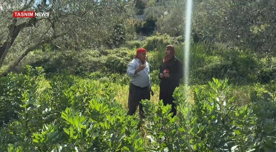 فلسطين المحتلة , فلسطين , الكيان الإسرائيلي , تهجير الفلسطينيين , يوم النكبة , 