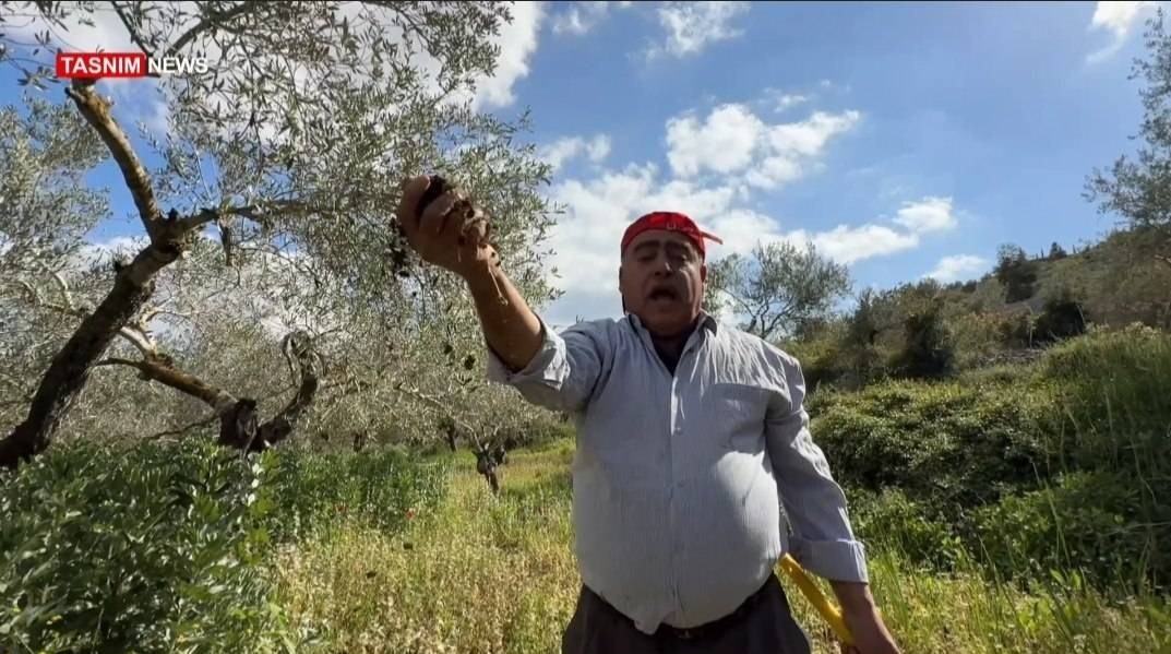 فلسطين المحتلة , فلسطين , الكيان الإسرائيلي , تهجير الفلسطينيين , يوم النكبة , 