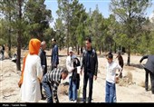 پویش ملی درختکاری سرو ایران (بیاد امام شهید و شهدای والامقام نبرد رمضان )