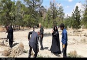 پویش ملی درختکاری سرو ایران (بیاد امام شهید و شهدای والامقام نبرد رمضان )
